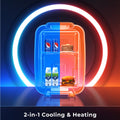 Mini Kühlschrank, 4L / 6 Dosen Leise Minikühlschrank, 7 RGB Lichtmodi, 2in1 Kühl- und Warmhaltefunktion für Getränke & Skincare, AC 220V / DC 12V, Mini Fridge für Gaming, Büro, Auto (Schwarz)