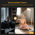 Morfone Happy Light Therapy Lamp,11000 Lux Sunlight Lamp with Remote Control, UV-Free LED