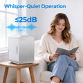 BEICHEN Mini Fridge, 4 Liter/6 Can Small Fridge for Bedroom, Car, Office, Brushed Finish, AC/DC
