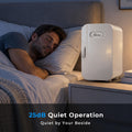 Mini Fridge, 6L/8 Can Portable Small Refrigerator Cool& Warm AC/DC